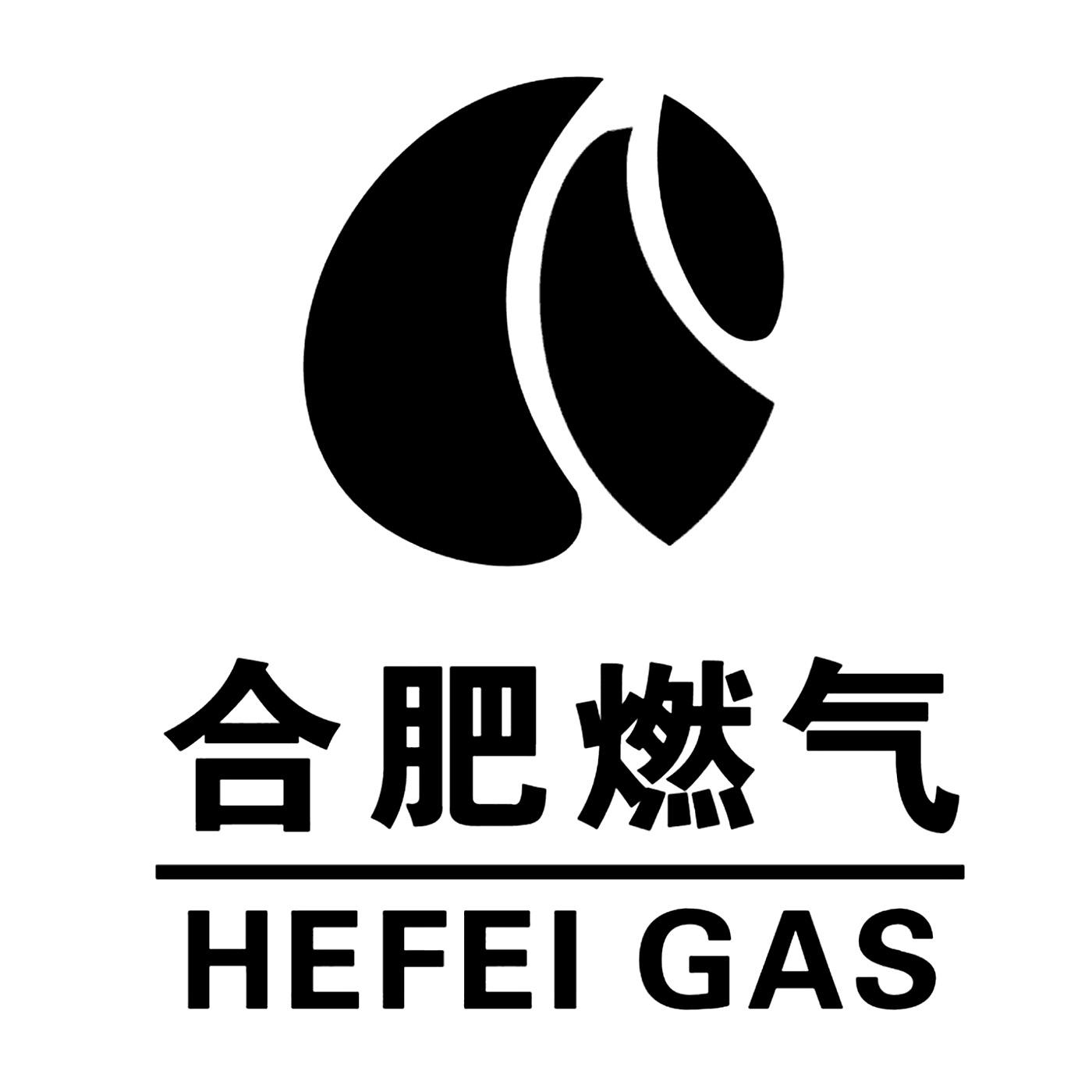 合肥燃?xì)?>
                                </div>
                                <p class=